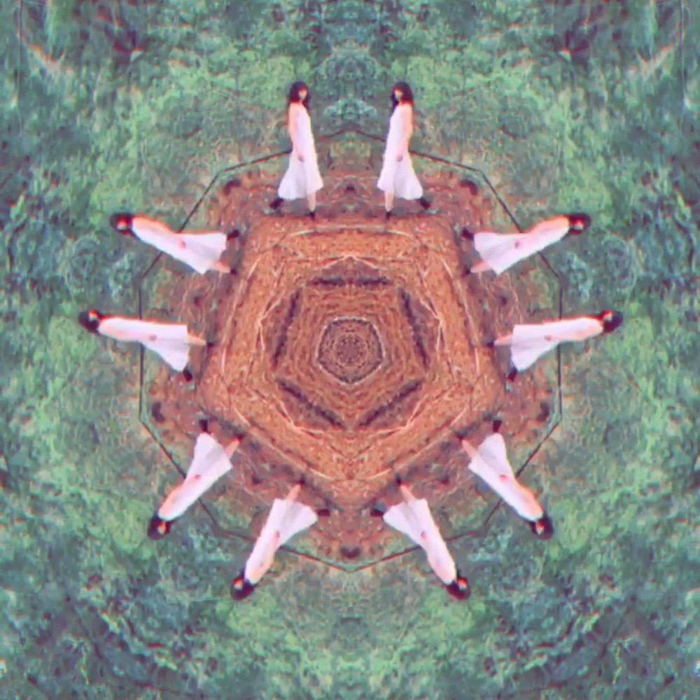 image for A Roots Driven Catharsis of Connection to Nature. - Chicken Mama: Surrender