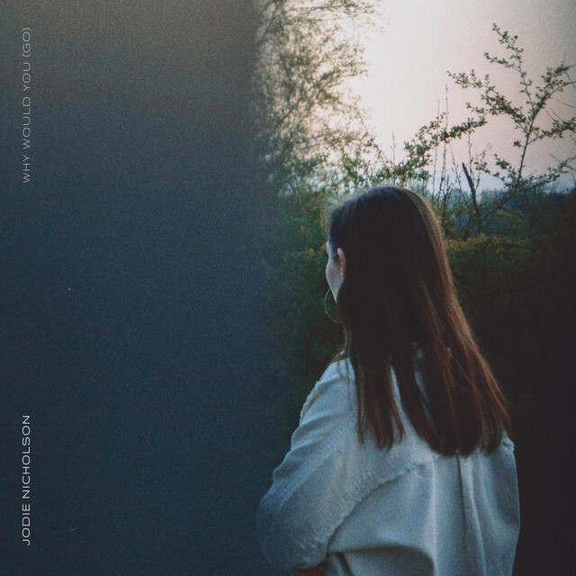 image for Effervescent Eclectic Pop from Darlington. - Jodie Nicholson: Why Would You (Go)