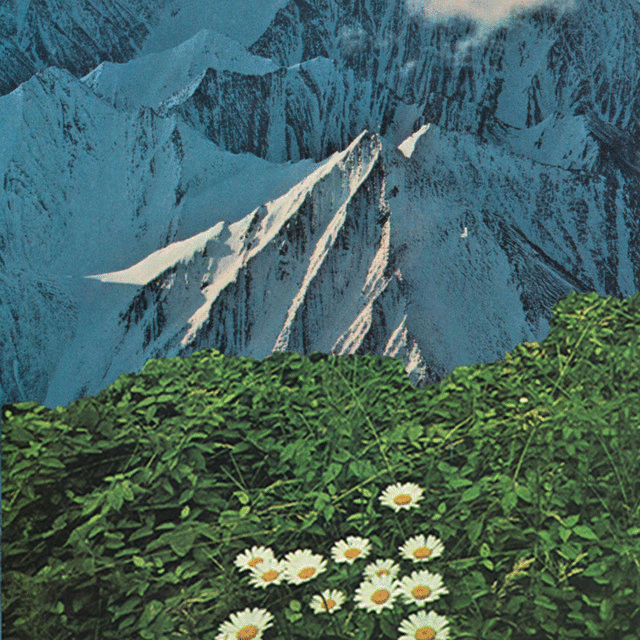 image for Mesmerizing Indie Pop Debut from Atlanta. - Listen to Mallbangs: Forget Me Nots