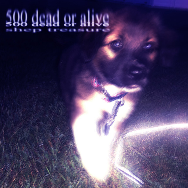 image for Introducing Shep Treasure: Ripoff