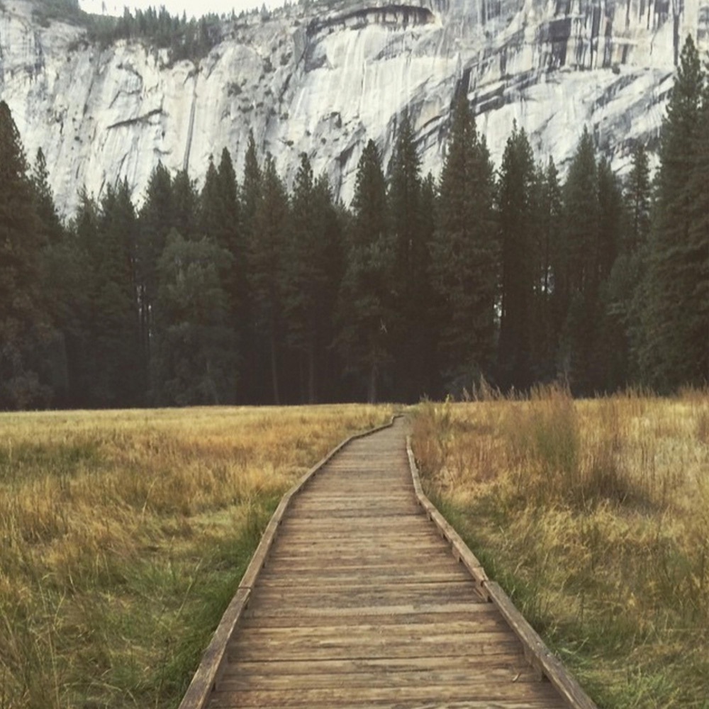 image for Los Angeles Rising Star of Electronic Alt Pop. - Introducing Shoffy: Fade