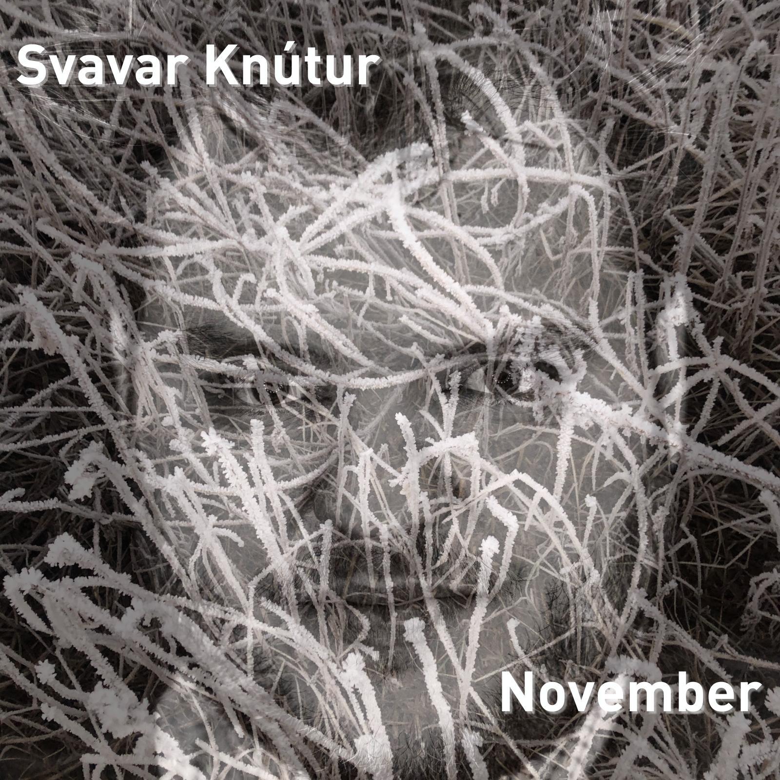 image for Icelandic Singer and Storyteller Explores his Native Roots. - Svavar Knutur: November