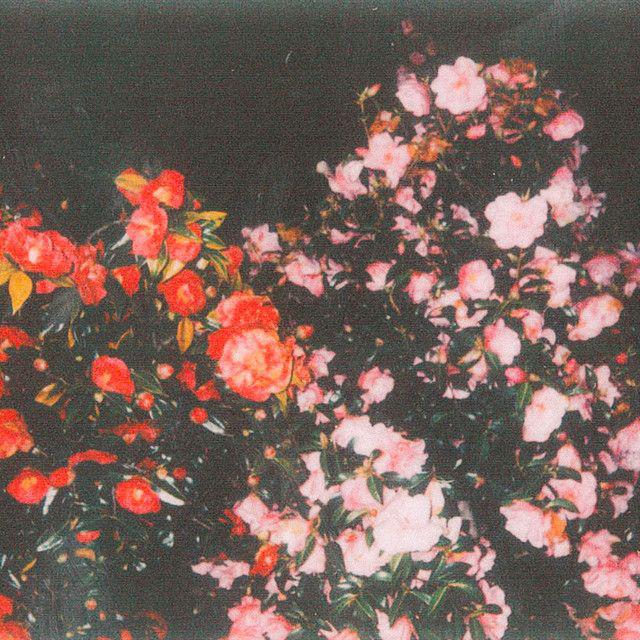 T Scarlett - Cant See